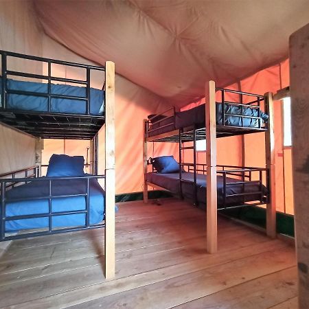 Le Lodge De La Chouette Quarré-les-Tombes Esterno foto
