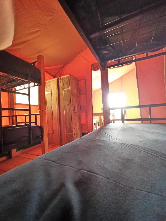 Le Lodge De La Chouette Quarré-les-Tombes Esterno foto